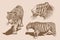 Graphical vintage collection of tigers, sepia background,vector illustration , African wild animal,hunter