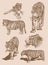 Graphical vintage collection of tigers, sepia background,vector illustration , African wild animal,hunter