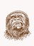 Graphical vintage drawing of gorilla ,sepia background,vector illustration