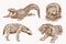 Graphical vintage set of African animals , sepia backgrund.