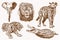 Graphical vintage set of African animals , sepia backgrund.