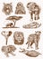 Graphical vintage set of African animals , sepia backgrund.