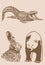 Graphical vintage set of animals on sepia background,vector illustration. Zoology