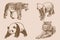 Graphical vintage set of animals on sepia background,vector illustration. Zoology