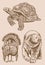 Graphical vintage set of animals on sepia background,vector illustration. Zoology