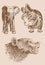 Graphical vintage set of animals on sepia background,vector illustration. Zoology