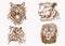 Graphical vintage set of portraits of tigers and lions, sepia background,vector