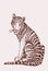 Graphical vintage tiger , sepia illustration,wild cat