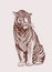 Graphical vintage tiger , sepia illustration,wild cat