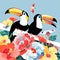 Graphics color funny birds toucans