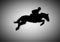 Graphics design silhouette horseman horse racing for the race with gray background vector illustration