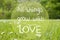 Gras Meadow, Daisy Flowers, Quote All Things Grow With Love