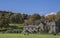 Grasmere, Lake District, Cumbria, England, the UK - a farmhouse.