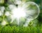 grass and abstract bubbles in the garden on a green blurred background