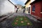 Grass Alfombre flower carpets on the cobbled streets of Antigua, Guatemala