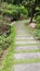 Grass along cement paving stones