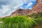 Grass along John Day River in Central Oregon USA