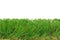 Grass artificial astro turf isolated border