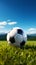 Grass backdrop highlights the simplicity of a spherical sports ball