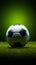 Grass backdrop highlights the simplicity of a spherical sports ball