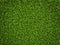 Grass Background