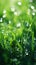 Grass background macro. Raindrops on greenery. Bright rich green color. AI Generated.