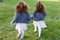 Grass background. Two twins girls hand in hand walking on the meadow in park. From back and rear. Curly toddler sisters