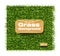 Grass background Vector realistic. Layout template illustrations