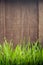 Grass on the background of wood planks,