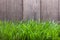 Grass on the background of wood planks, Fresh green lawn near ru