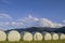 Grass baled silage