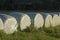 Grass baled silage