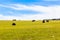 Grass Bales Blue Farm Landscape