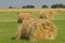 Grass bales for cattle