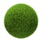 Grass Ball