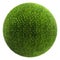 grass ball