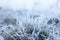 Grass blades covered with hoarfrost in meadow, space for text