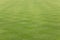 Grass on a bowling green