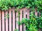 Grass brown lath wall background, fence decorate.