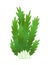 Grass or bushes. Green realistic spring grass. Fresh plants, garden botanical greens, herbs and leaves vector isolated