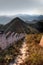 Grass and bushes threaten to take the last remaining bricks on the unrestored section of the great wall of China