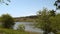 Grass bushes and trees on the river bank.