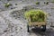 Grass Carts at Mount Merapi, Indonesia