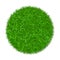 Grass circle 3D. Green plant, grassy round field, isolated on white background. Symbol of globe sphere, fresh nature