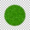 Grass circle 3D. Green plant, grassy round field, isolated white transparent background. Symbol of globe sphere, fresh