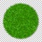 Grass circle 3D. Green plant, grassy round field, isolated white transparent background. Symbol of globe sphere, fresh
