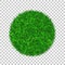 Grass circle 3D. Green plant, grassy round field, white transparent background. Symbol of globe sphere, fresh