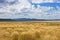 Grass and clouds, Eagle Lake, California