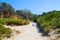 Grass covered beach dune on seashore at Valla Beach Australia