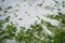 Grass covered with hailstones after hailstorm